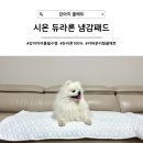 시온(SION) | [강아지 쿨매트] 여름 필수템 커버 분리형 듀라론 냉감패드, 시온 강아지 쿨매트