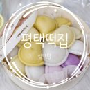 [평택떡집] &#39;설백당&#39; 평택답례떡으로 딱인 용이동떡집