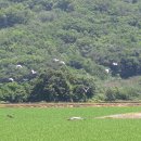 대위리-양지리 이미지