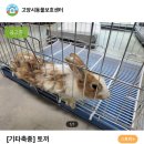 관악동물종합병원 이미지