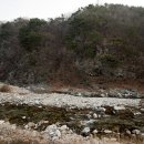 황금박쥐캠핑장 이미지