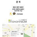 다채움세탁 이미지