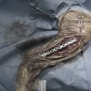 정강동물병원 이미지