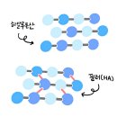 리의원 | 필러 종류와 용량에 따라 달라지는 결과