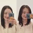 세원빌딩 | 퍼스널헤어컨설팅 차홍룸 여하 보더펌 뿌리펌 후기 양재역미용실 추천