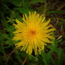 온마음행정사사무소 이미지