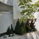 압구정한의원 | 압구정 한의원 스컬트힙/엉덩이 볼륨 쉽게 살리는 방법