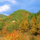 무주읍166 이미지