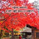 동굴목장 이미지