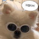 베이커리빵끗