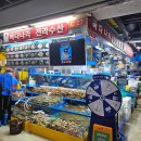 소주나라 | 가락시장 알쭈꾸미 후기｜가락몰 바다나라 + 거북선식당 내돈내산 (4월 제철음식)