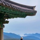 남해-203 이미지