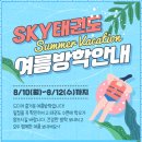 경희대 다산 태권도 이미지