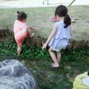 구갈레스피아 게이트볼장 이미지