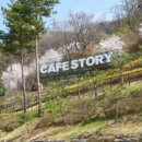 카페스토리(cafe story) 이미지