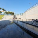 호수공원소나무숲길 이미지