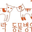 오늘도 예쁜 그루밍 이미지