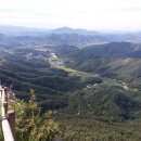 오룡여관 Daum카페