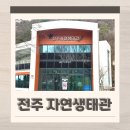 서전주 졸음쉼터 | 전북 아이랑 실내 가볼만한곳 전주 자연생태관