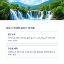 숲속힐링매니아