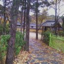 사철나무집 이미지