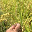 (주)대풍환경 이미지