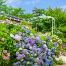경주 기림사 용연폭포=용이 승천한 웅장한 물줄기" 신문왕 호국행차길의 숨은 비경=1시간 걷는 숲길·폭포 절경 품은 천년사찰 둘레길 이미지