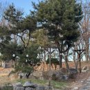 훈증힐링 이미지