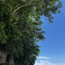 [남부] 댄스스포츠 | 발리 울루와뚜는 어떤 곳? | 울루와뚜 여행 물가·해변·숙소 위치·이동·케착댄스