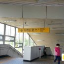 군포굿닥터동물병원 | '군포 굿닥터동물병원' - 진료 후기