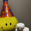 에코이뷰 이미지