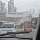 영남세탁소 | 2025 공연 연말결산 🎤