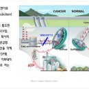 킴바이오 이미지