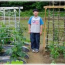 하늘농장 이미지