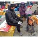 완도읍-12 이미지