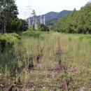 구)양보역 이미지