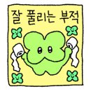 릴리안플라워 이미지