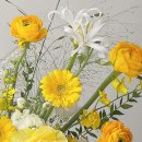 온화앤유 이미지