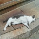 모퉁이 PC 이미지