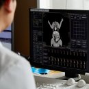 에스디(SD)동물영상센터,서울 이미지