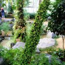 구덕문화공원 이미지