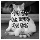 오남2지구 | 남양주 마석지구 근처 비즈니스 출장 숙소 4곳 시설 및 실제 후기 분석