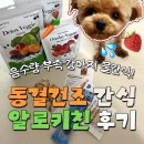 물간식 퍼피 음수량 늘리기 알로키친 급여방법, 하루 칼로리 (그린, 제주, 딸기요거트)내돈내산 후기