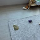 검사울 | 강아지 췌장염 치료 비용 검사 과정(주간입원 통원 후기)