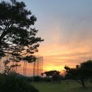 나이스골프연습장 이미지