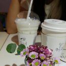 커피소녀 이미지