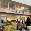 동성로 일본 빈티지 그릇 매장 상륙! "보물섬" 오픈 후기