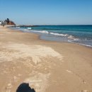 청간정 | 모두가 강원도 묵호갈때 고성 여행..꼭 가볼만한곳 관동팔경 중 하나 청간정 후기