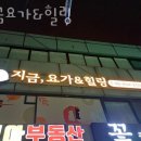 지금요가&힐링