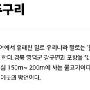일품맛집생선구이 이미지